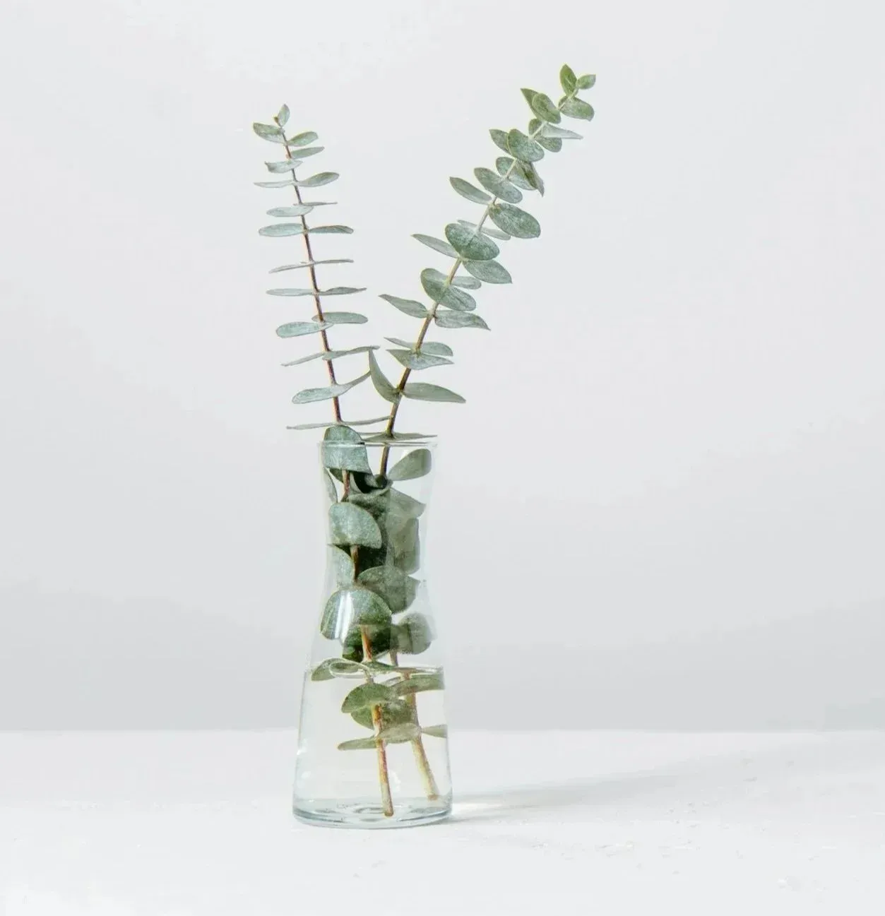 Eucalyptus branches in a small glass vase against a white background.
